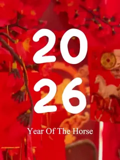Social media video 05